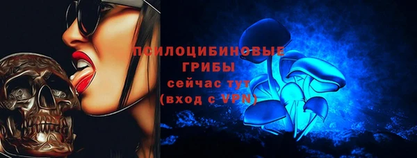 MESCALINE Аркадак