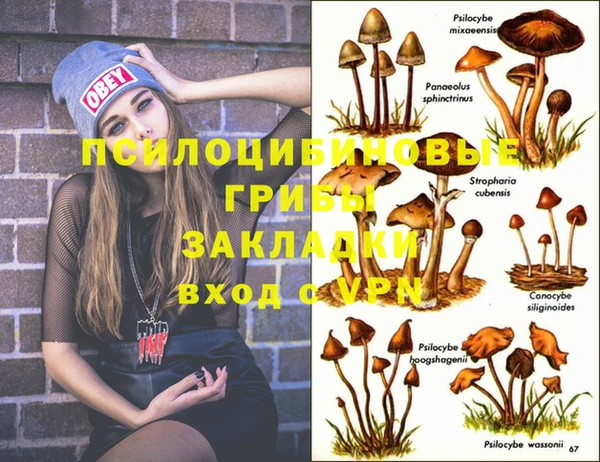 MESCALINE Аркадак