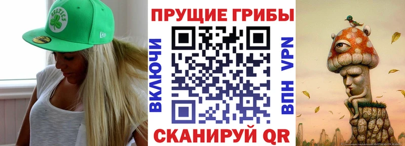 Псилоцибиновые грибы Psilocybe  ОМГ ОМГ зеркало  Учалы  где продают  